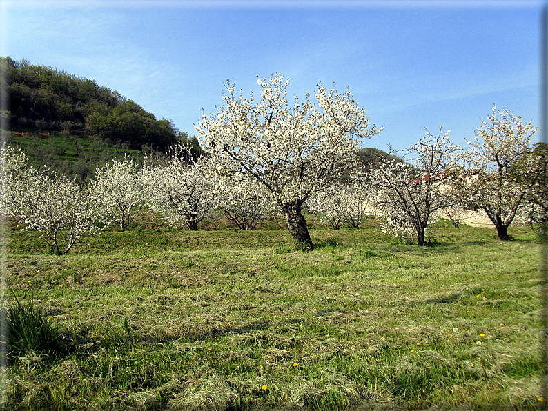 foto Colle San Benedetto